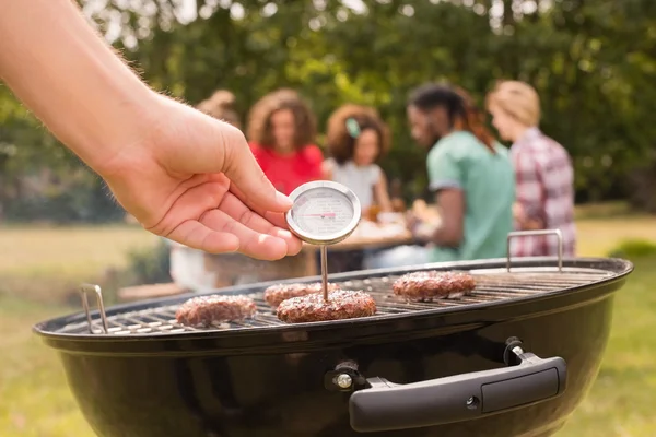 Wireless Meat Thermometer