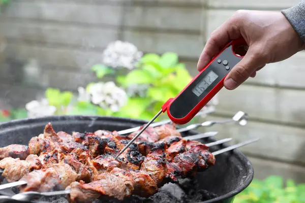 Wireless Meat Thermometer